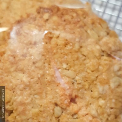 BG009 Galletas de Avena